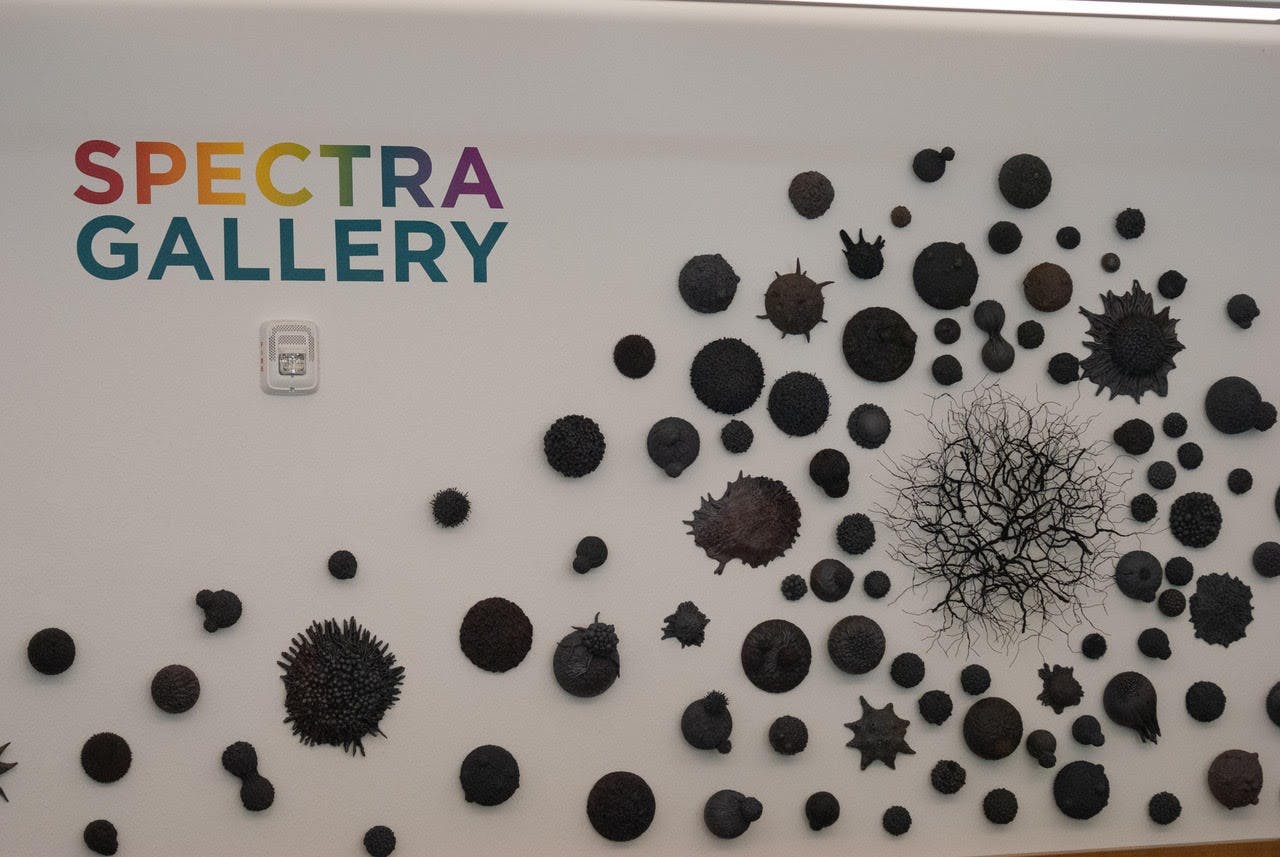 Spectra Gallery.jpg