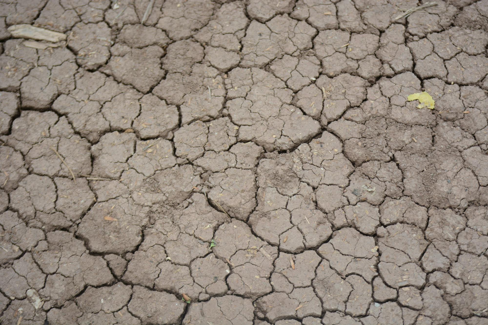 PHOTO STORY: Rio Grande already dry as summer approaches