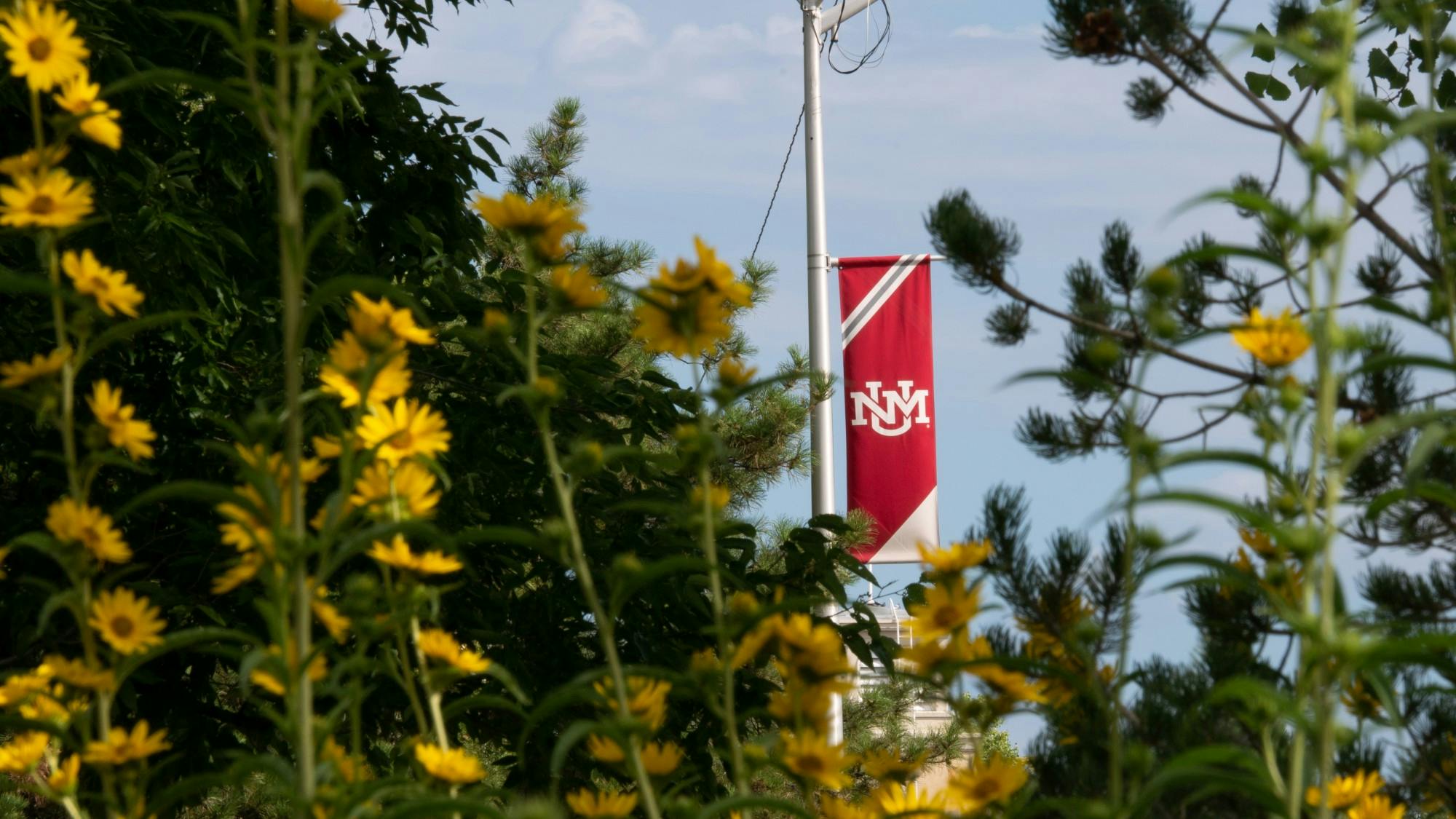 human relationship with nature.jpg