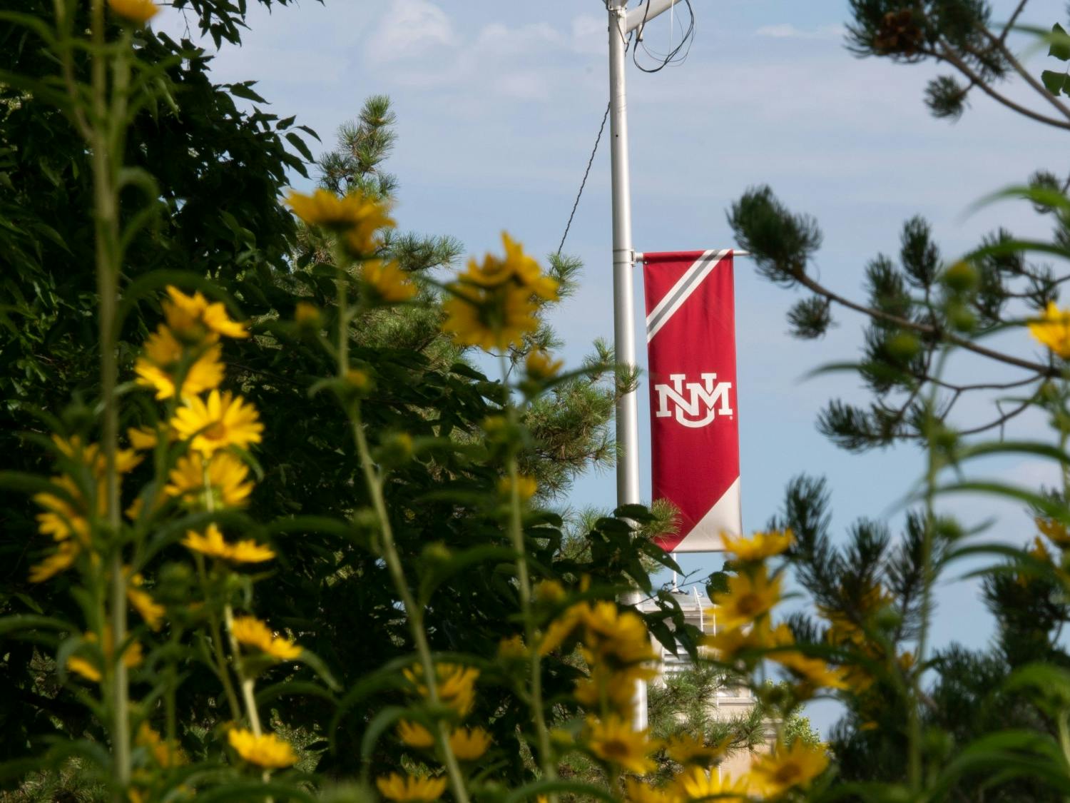 human relationship with nature.jpg