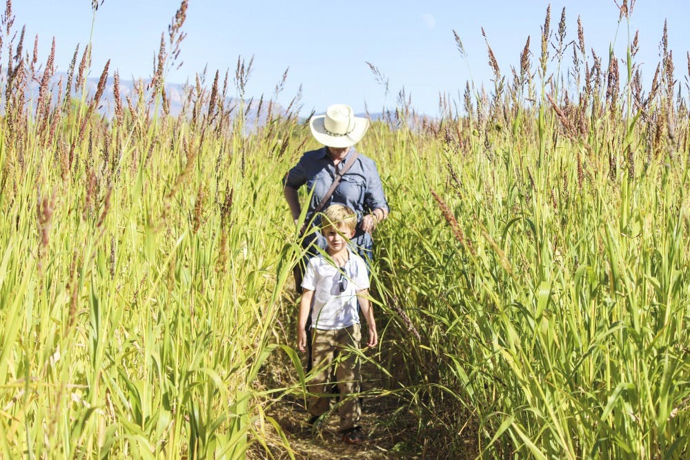 Lisa Young and Jack Lemelin, 5, participate in a scavenger hunt at the grand opening of the Maize Maze on Friday afternoon. The Maize Maze incorporates learning as a key component for the event. This year’s maze focuses on farming and fractals. 