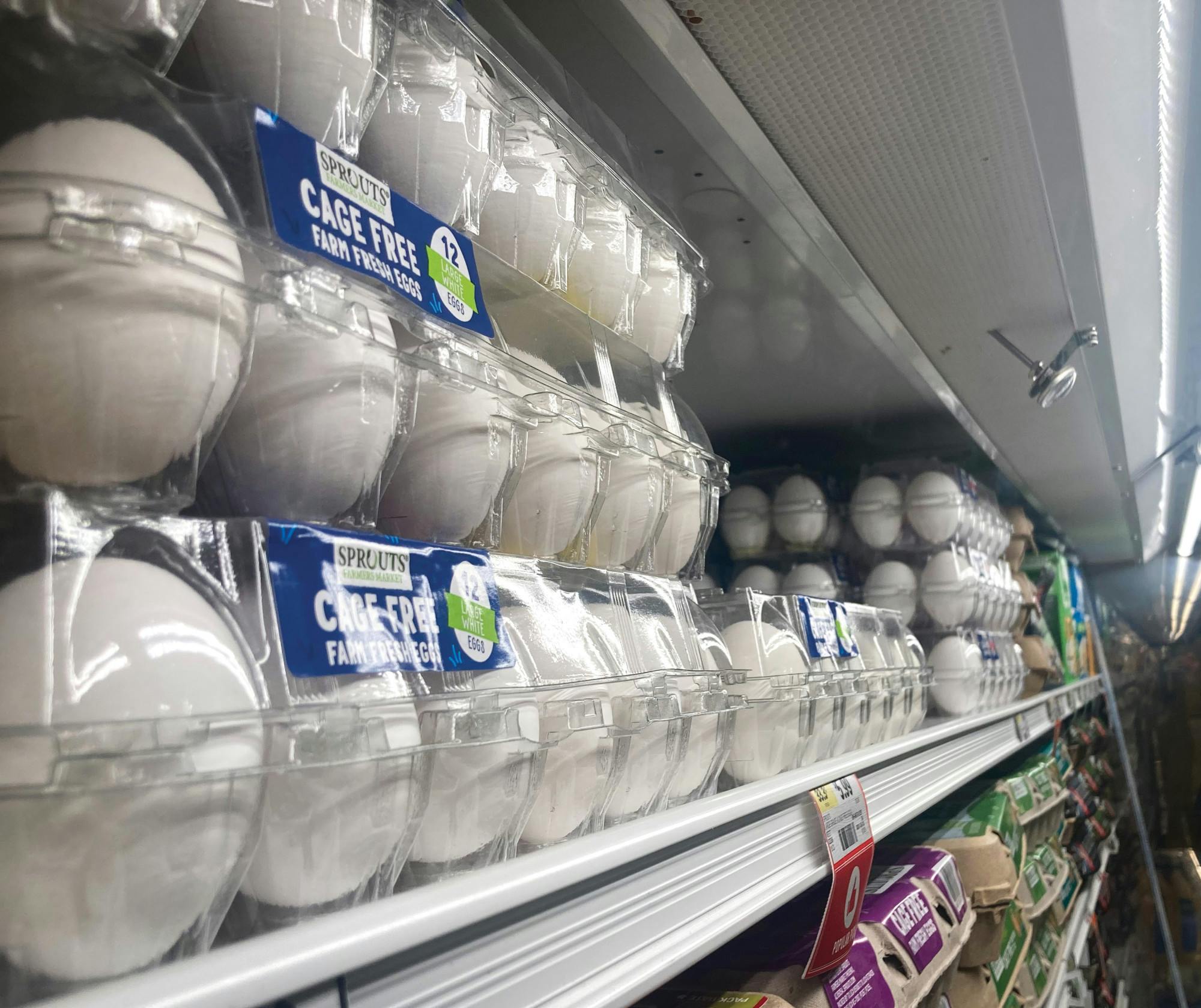 eggs.jpg