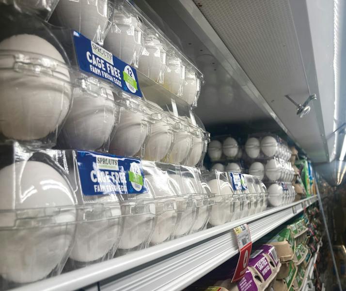 What New Mexicans should know as nationwide foodborne illness outbreaks surge