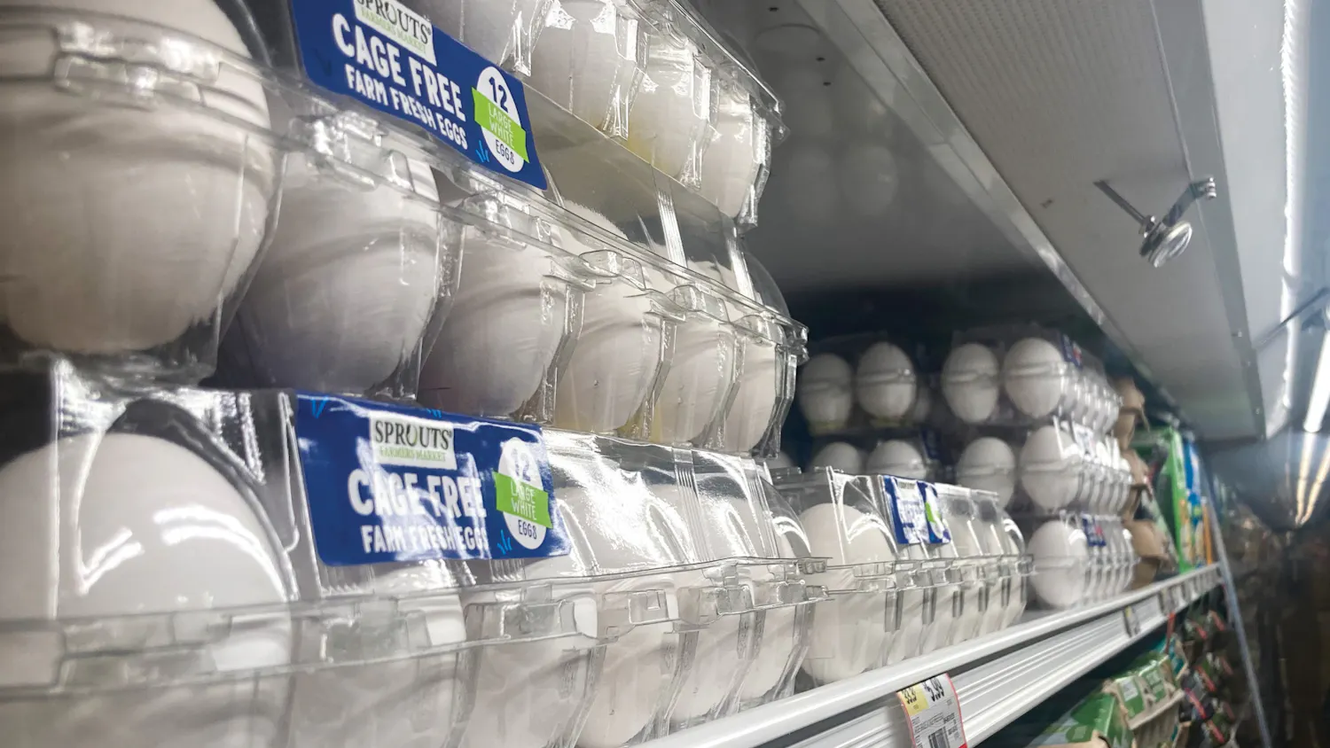 eggs.jpg