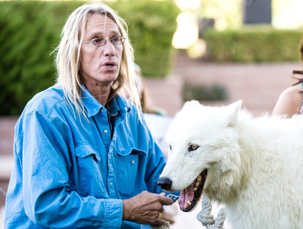 Leyton Cougar and Storm, an arctic wolf, from the Wild Spirit Wolf Sanctuary interact with visitors of the “Wilderness50 Get Wild Festival” at the Civic Plaza in downtown Albuquerque on Saturday. The festival was put on in conjunction with the National Wilderness Conference and celebrated 50 years of American wilderness.