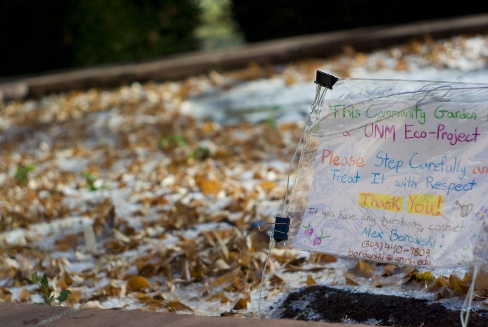	A pea sprout emerges from about an inch of frost in the garden at the Hokona residence hall courtyard Tuesday. Several dorm residents converted the patch of mud, grass and cigarette butts into a 50 square foot garden last month.