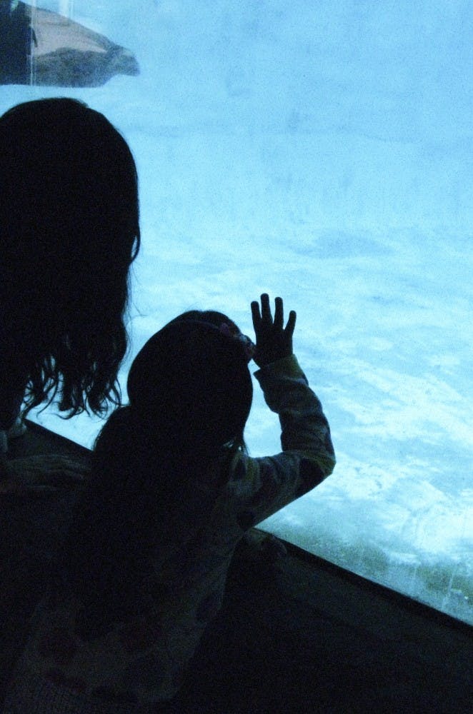 Cousins Mireya Jurado, 18, and Julissa Jurado, 4, watch for sea lions to swim by at the ABQ BioPark Zoo on March 7.