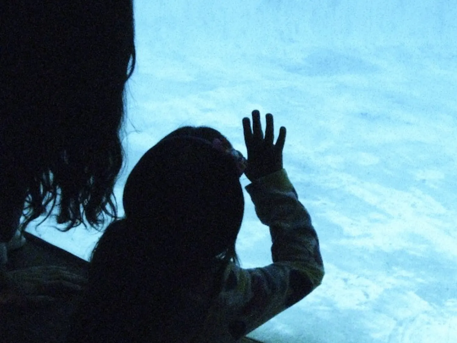 Cousins Mireya Jurado, 18, and Julissa Jurado, 4, watch for sea lions to swim by at the ABQ BioPark Zoo on March 7.
