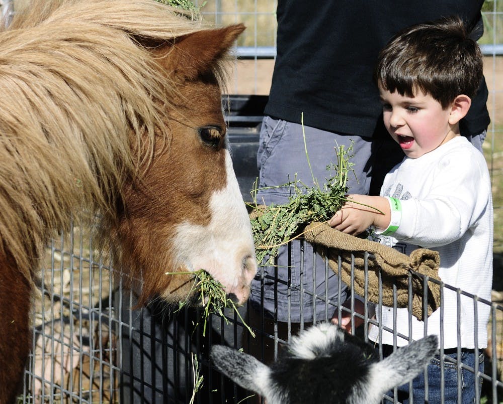 	Cole Whitman feeds a miniature horse at Wagner’s Farmland Experience on Monday. It was Whitman’s second visit to the farm. 