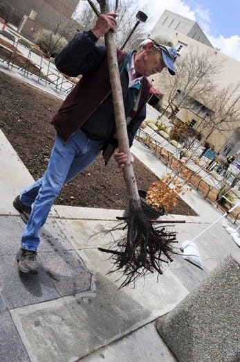 Bryan Suhr, supervisor for arboriculture at the Physical Plant Department, demonstrates how to plant a tree outside Carlisle Gym during a workshop in honor of Arbor Day on March 13.