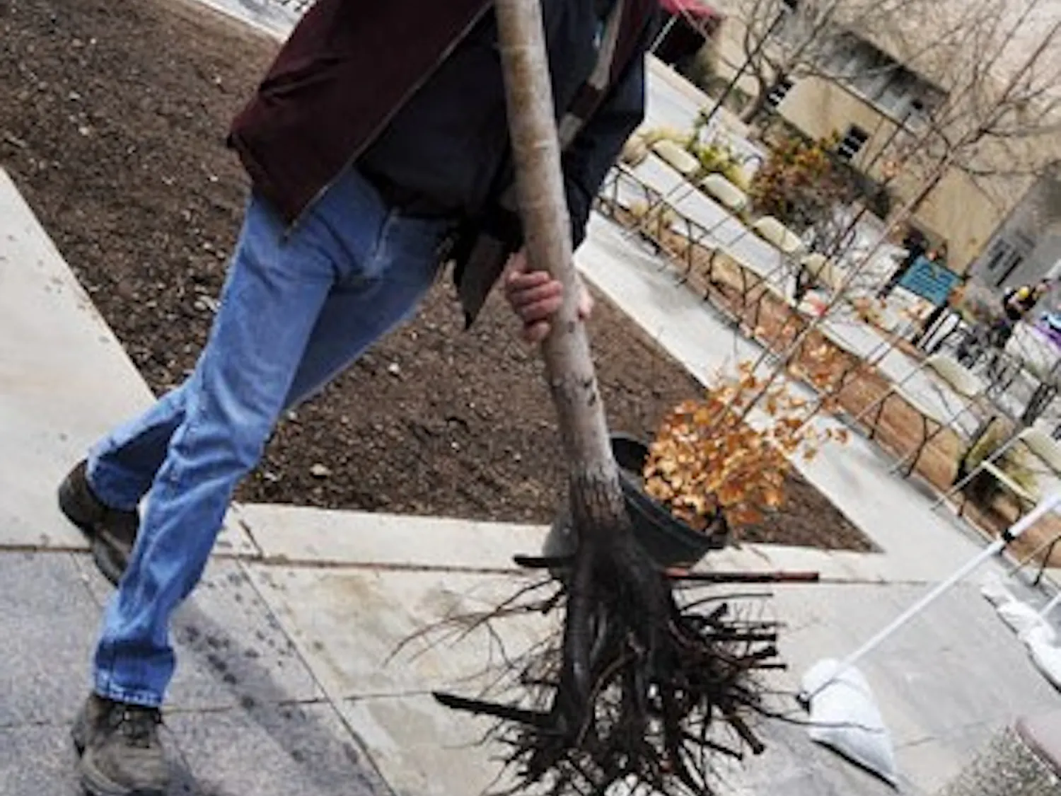 Bryan Suhr, supervisor for arboriculture at the Physical Plant Department, demonstrates how to plant a tree outside Carlisle Gym during a workshop in honor of Arbor Day on March 13.