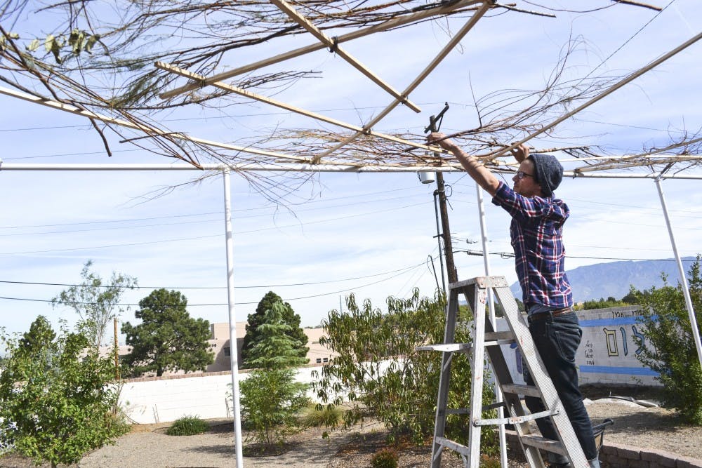 Ezra Rabinsky constructs a temporary structure, called a Sukkah, behind UNM's Hillel House on Oct. 7. Sukkot is a week-long Jewish holiday celebrated to commemorate heritage. The Sukkah stands as a symbol of remembrance, struggle and community. 