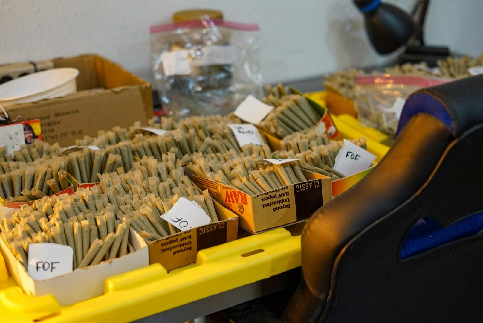 Dispensary and Ethnicity.jpg