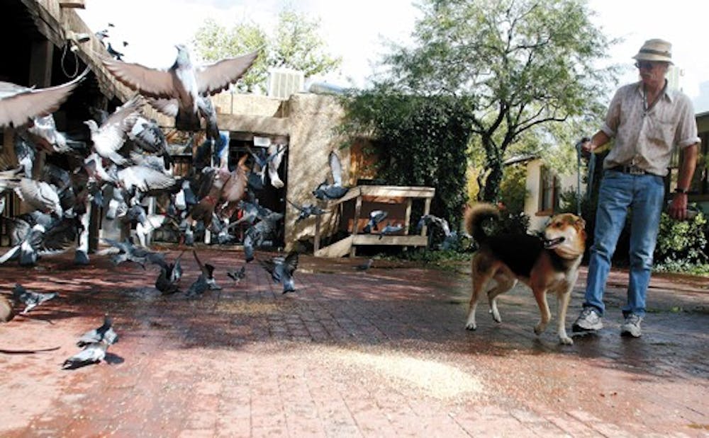 William Ganzerla feeds birds in front of his business on Wednesday. He owns Silver and Goldsmithing, a shop in Harvard Mall. The shop is one of the businesses scheduled to be demolished for housing and commercial development.