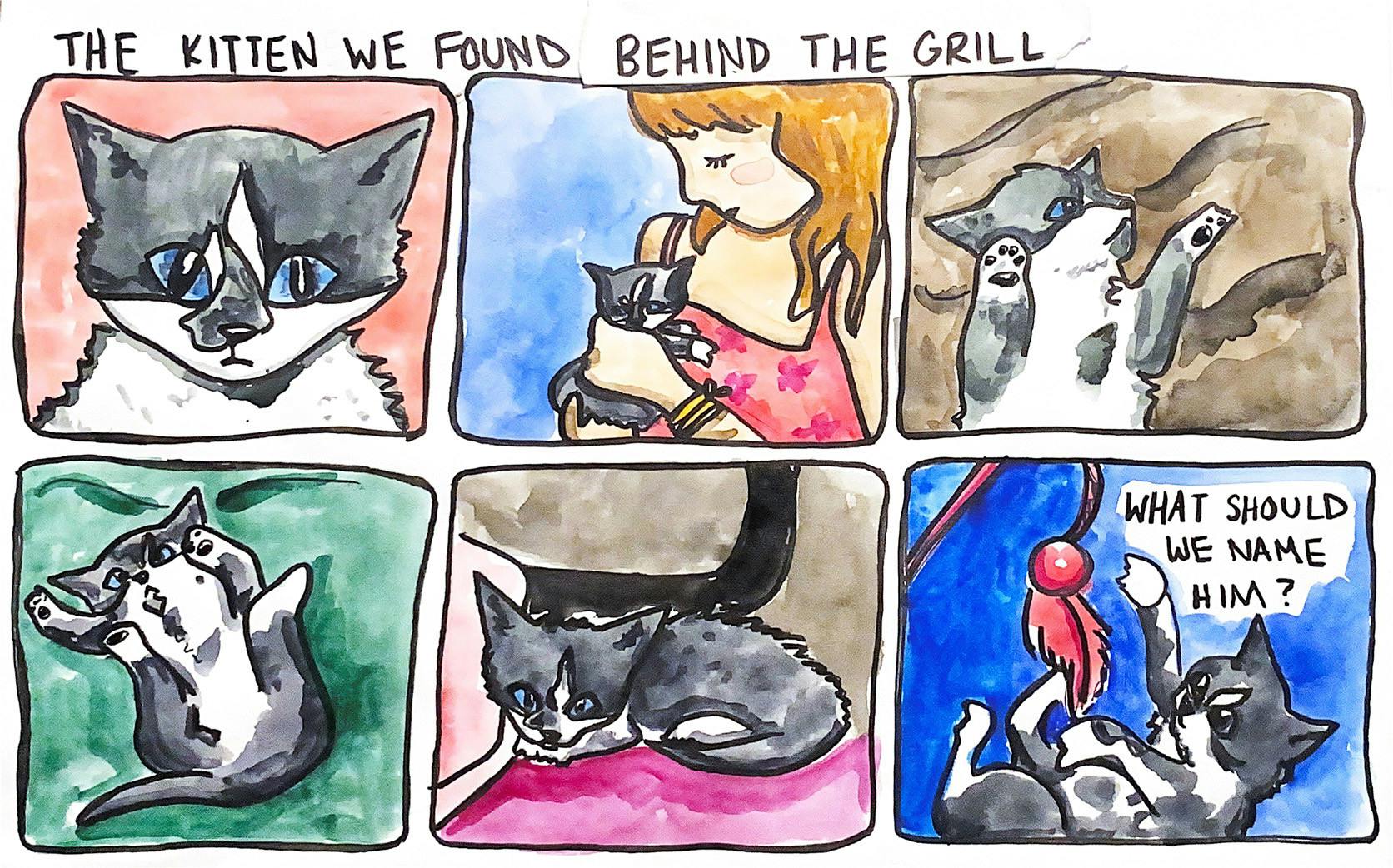 THE KITTEN WE FOUND BEHIND THE GRILL.jpg