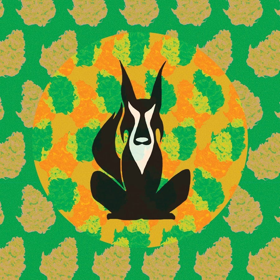 playlist cover small rgb jpg.jpg