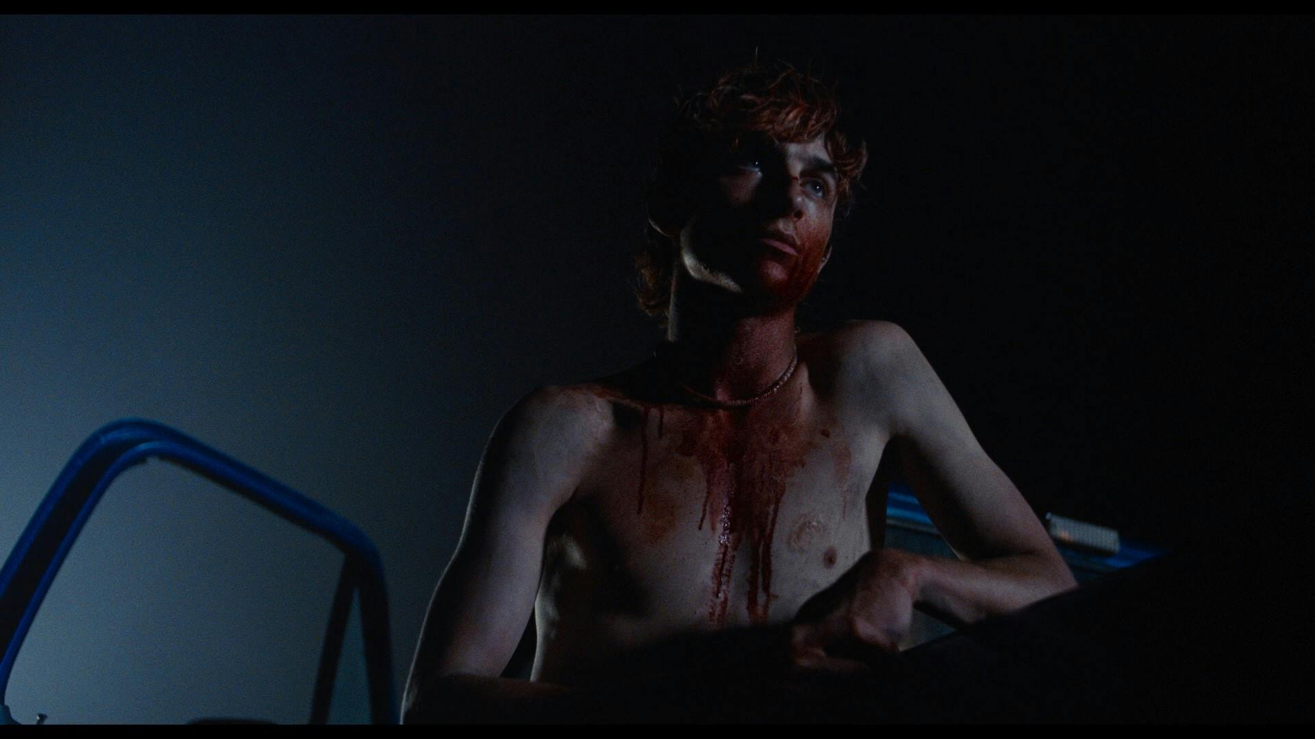 Bones and All Movie image