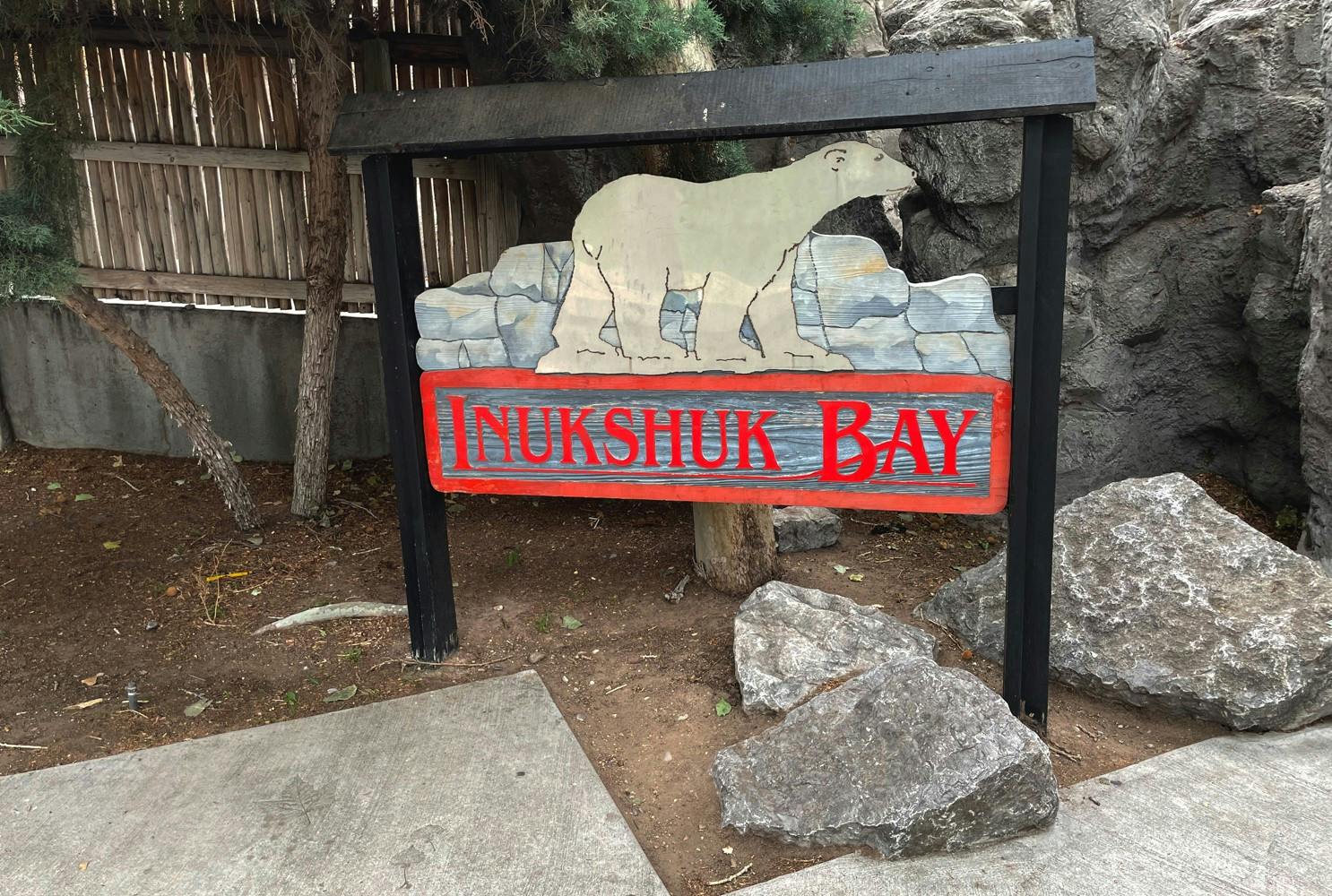 ABQ biopark euthanized polar bear gallery 