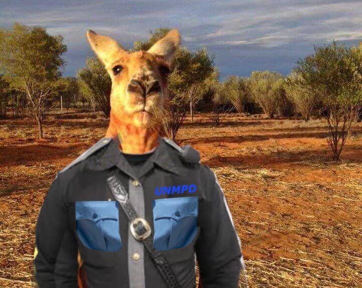 roger-the-kangaroo-sanctuary-alice-springs-2