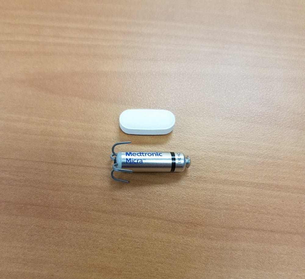 Photo courtesy of Photo courtesy of Amy Ruane.