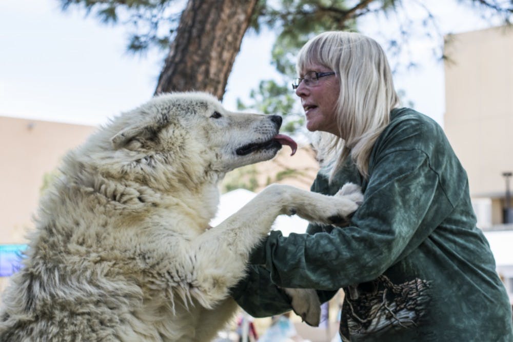 Handler Jan Ravenwolf interacts with a wolf Friday afternoon in front of Zimmerman Library. This event was part of an effort to bring awareness to humans’ impact on the environment.