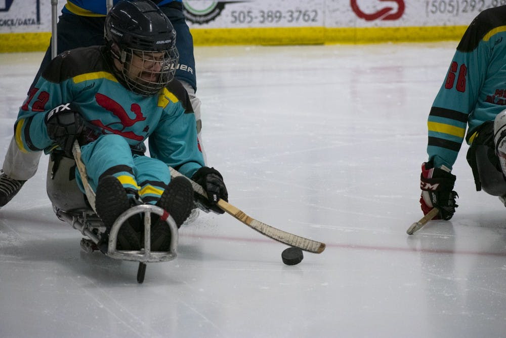GALLERY: Sled Hockey