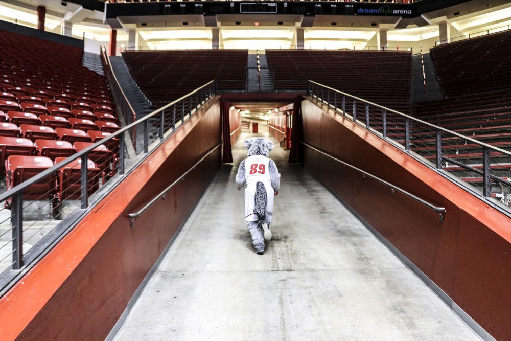 Lobo Louie runs up the Dreamstyle Arena ramp after an interview with Daily Lobo reporters on April 3, 2018.&nbsp;