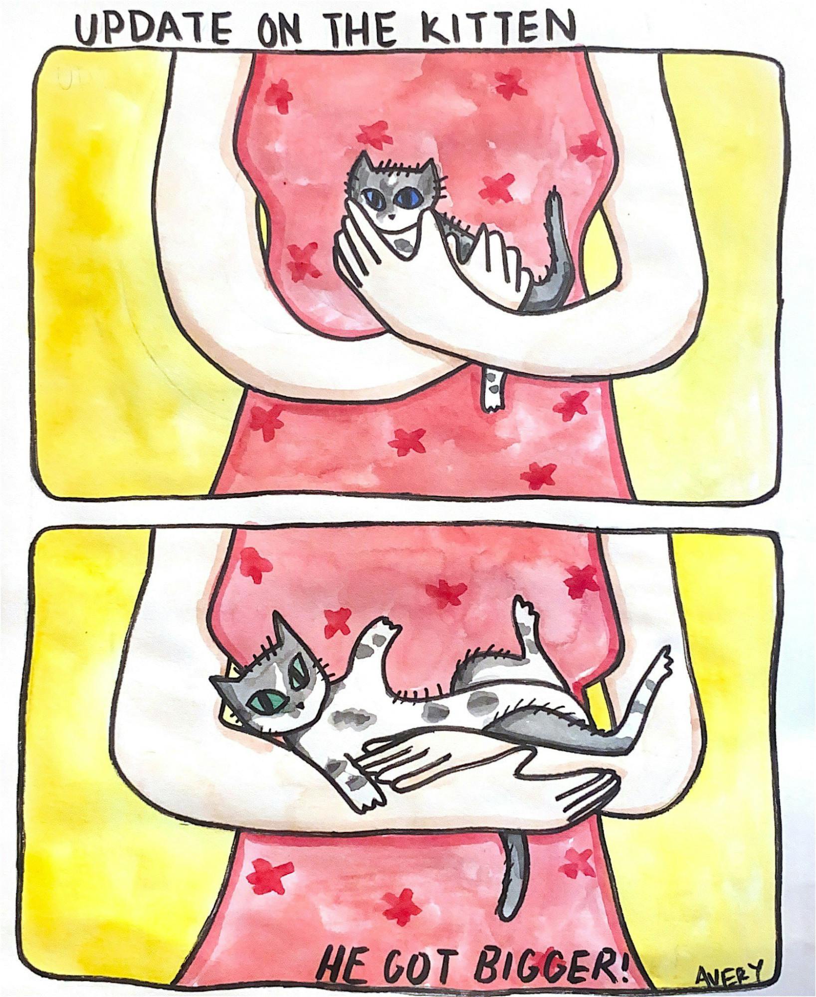 UPDATE ON THE KITTEN.jpg