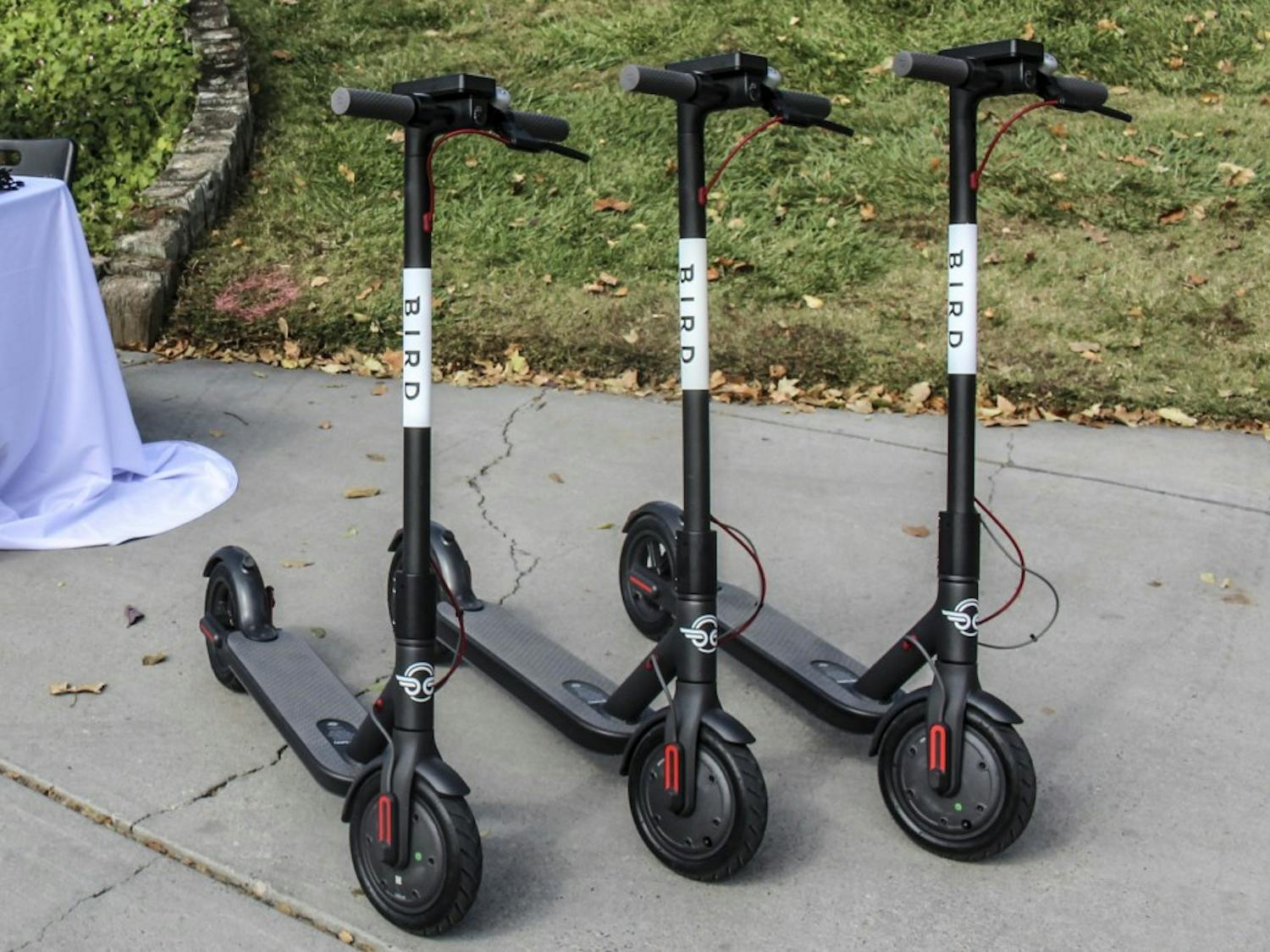 Bird scooters are lined up near the UNM Duck Pond.