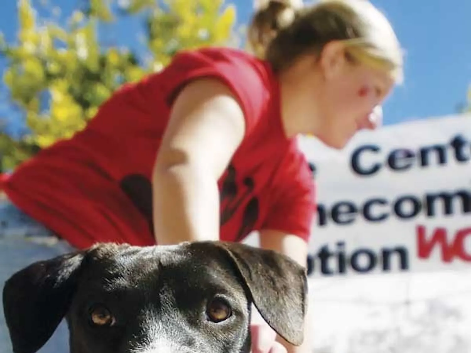 Welcome Center employee Katrina Sanchez pets Larissa, a 9-month-old lab mix, in front of the center on Tuesday. The center and the city of Albuquerque had two dogs available for adoption for the homecoming department decoration competition.