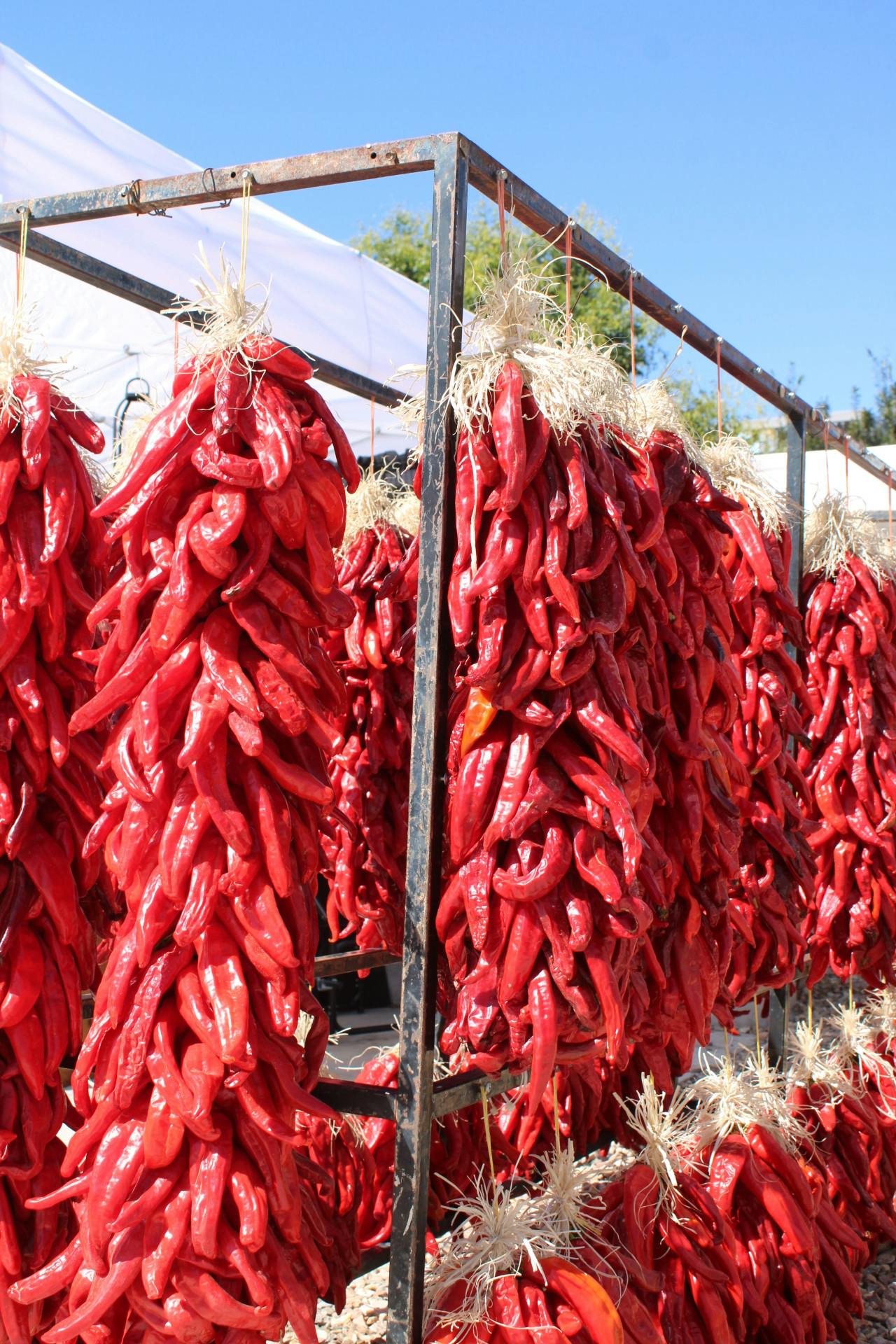 PHOTO STORY: Color and Community at the Railyards