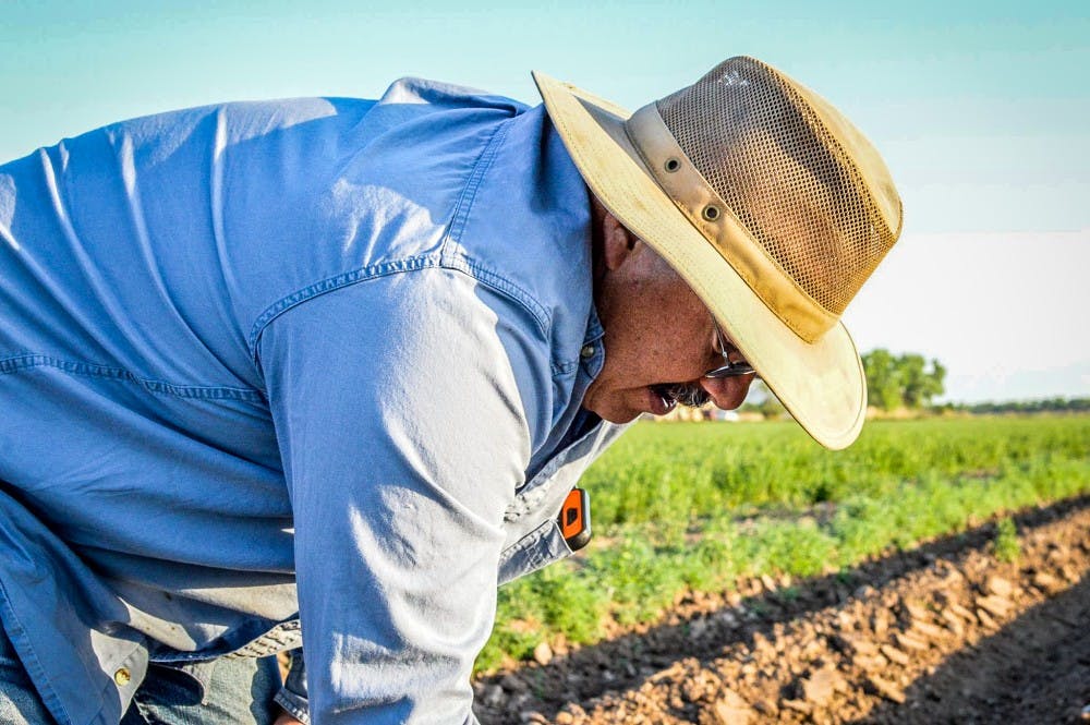 Photo story: Lopez farm