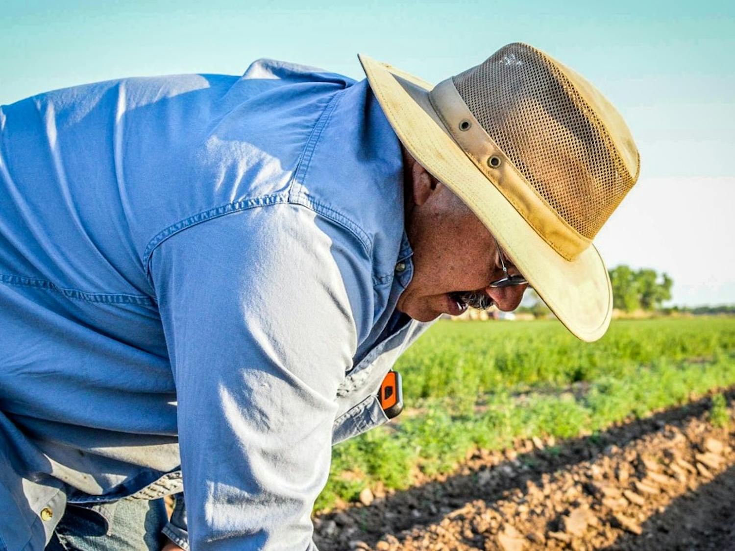Photo story: Lopez farm