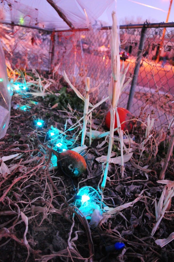  Two pumpkins sit waiting to be harvested next to the blue Christmas lights that light F. Wellington’s garden on the corner of Mesa Street and Gold Street on Wednesday. 