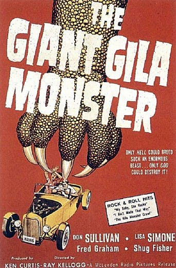 A poster of one the films featured in the Revenge of the Worst Film Festival Ever at the Guild Cinema during the weekend. 