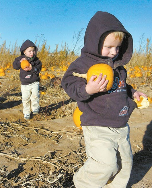 Two-year-old twins Devon and Sean Groater carry the pumpkins they picked at McCall's Pumpkin Patch in Moriarty, N.M., on Sunday. 