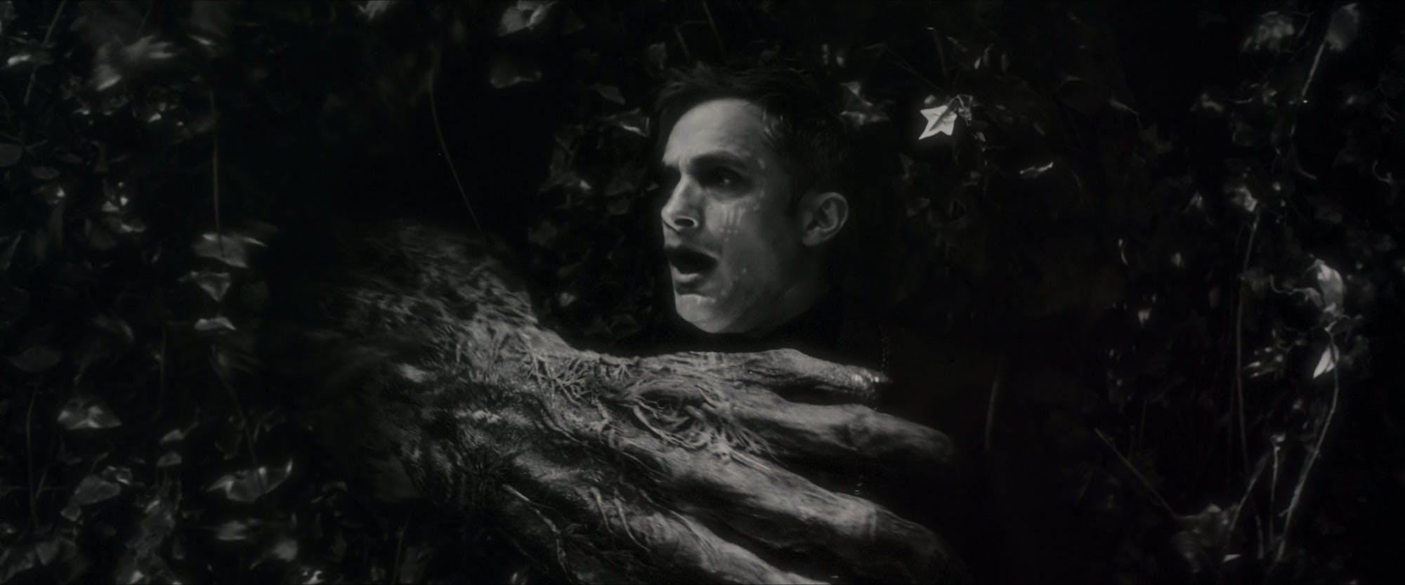 Werewolf by Night.jpg