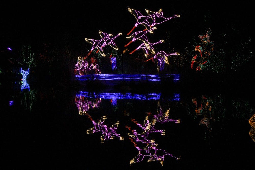 Lights form a group of cranes flying away being reflected in the parks pond.