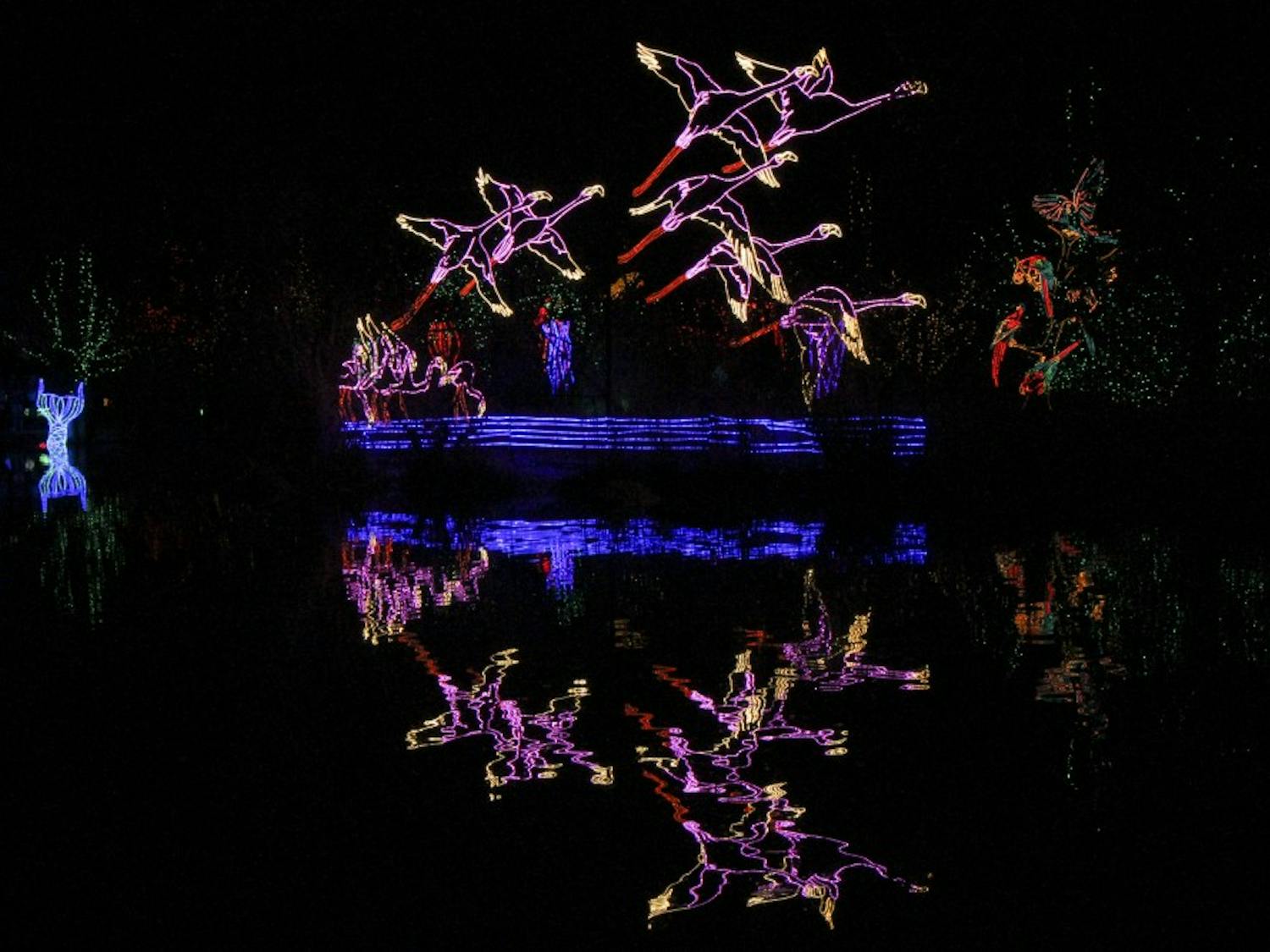 Lights form a group of cranes flying away being reflected in the parks pond.