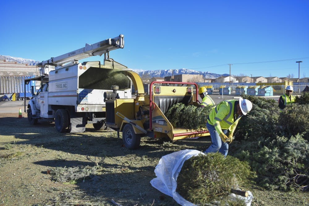 Taking Down The Christmas Tree