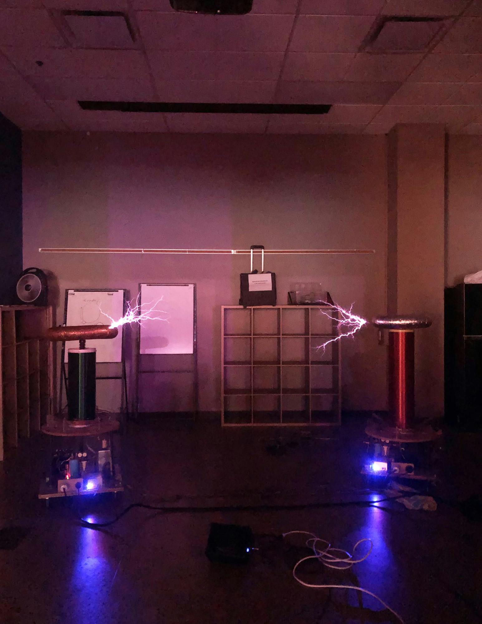 adult stem night.jpg