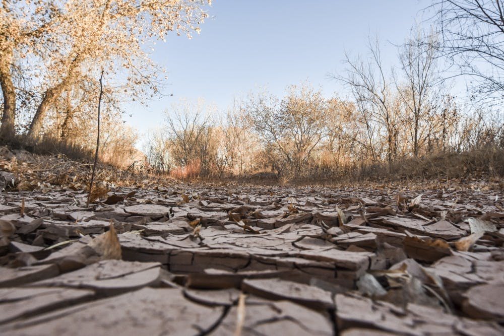 Mudcracks cover dry areas in the Basque on the evening of Feb. 11, 2018.
