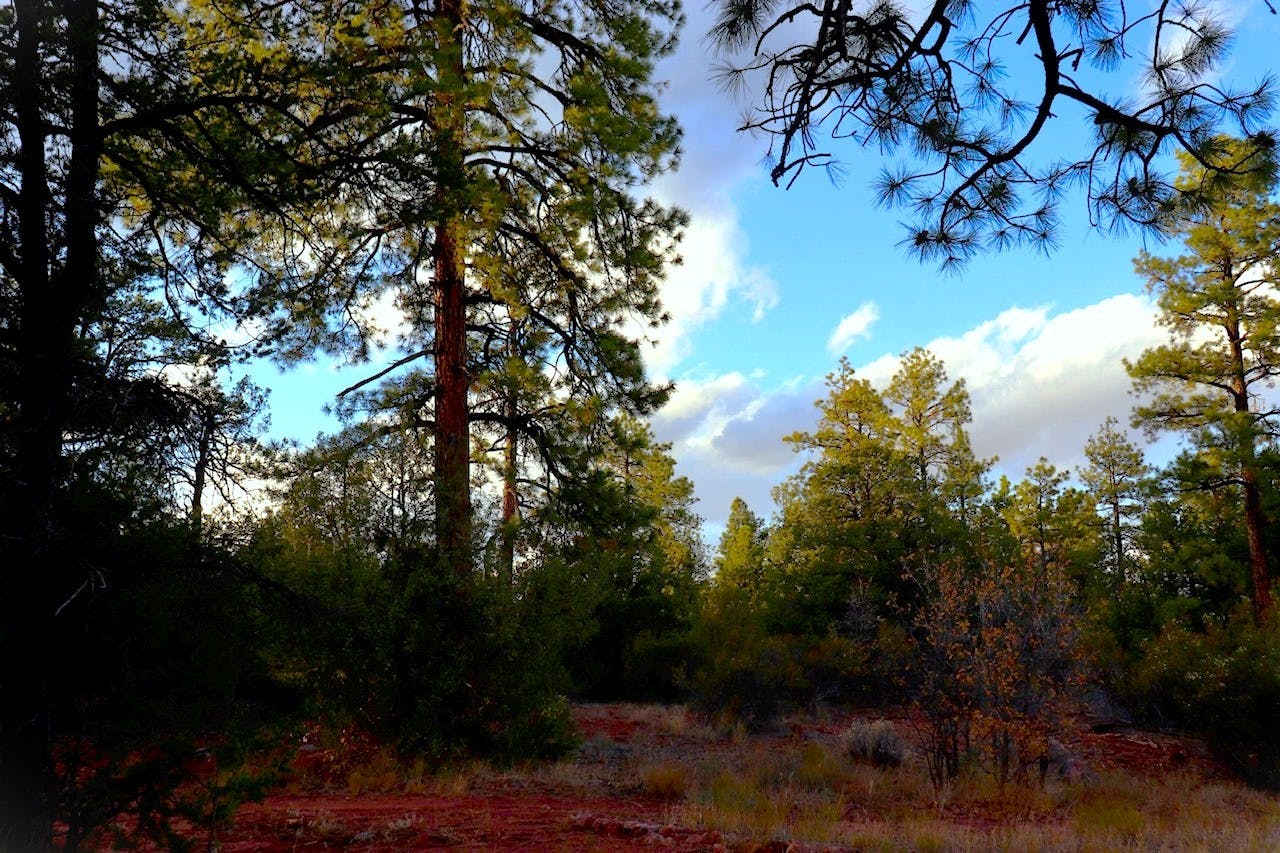 Opening and Closing of Trails.jpg