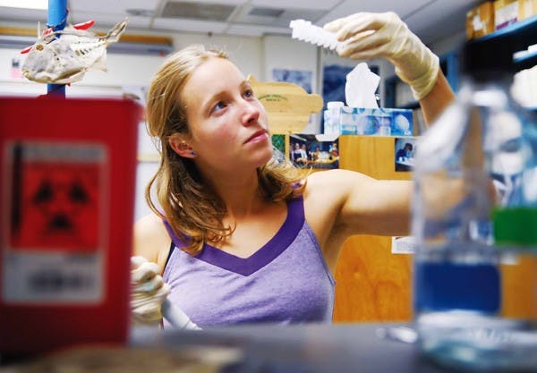 PhD student Natalie Dawson transfers DNA samples in a Castetter Hall biology lab Thursday.