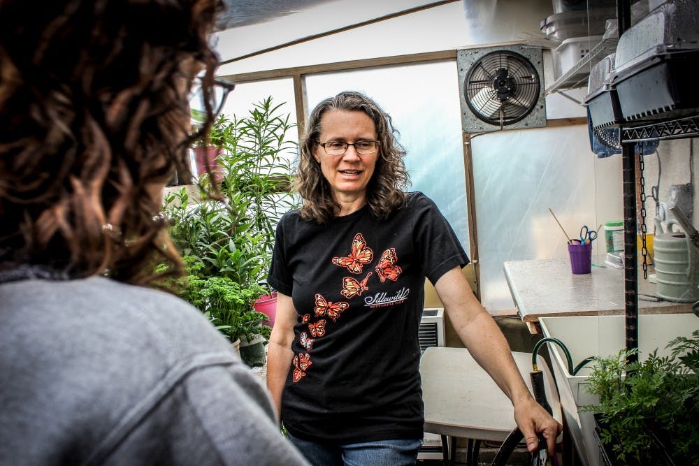 Photo story: Butterfly farm