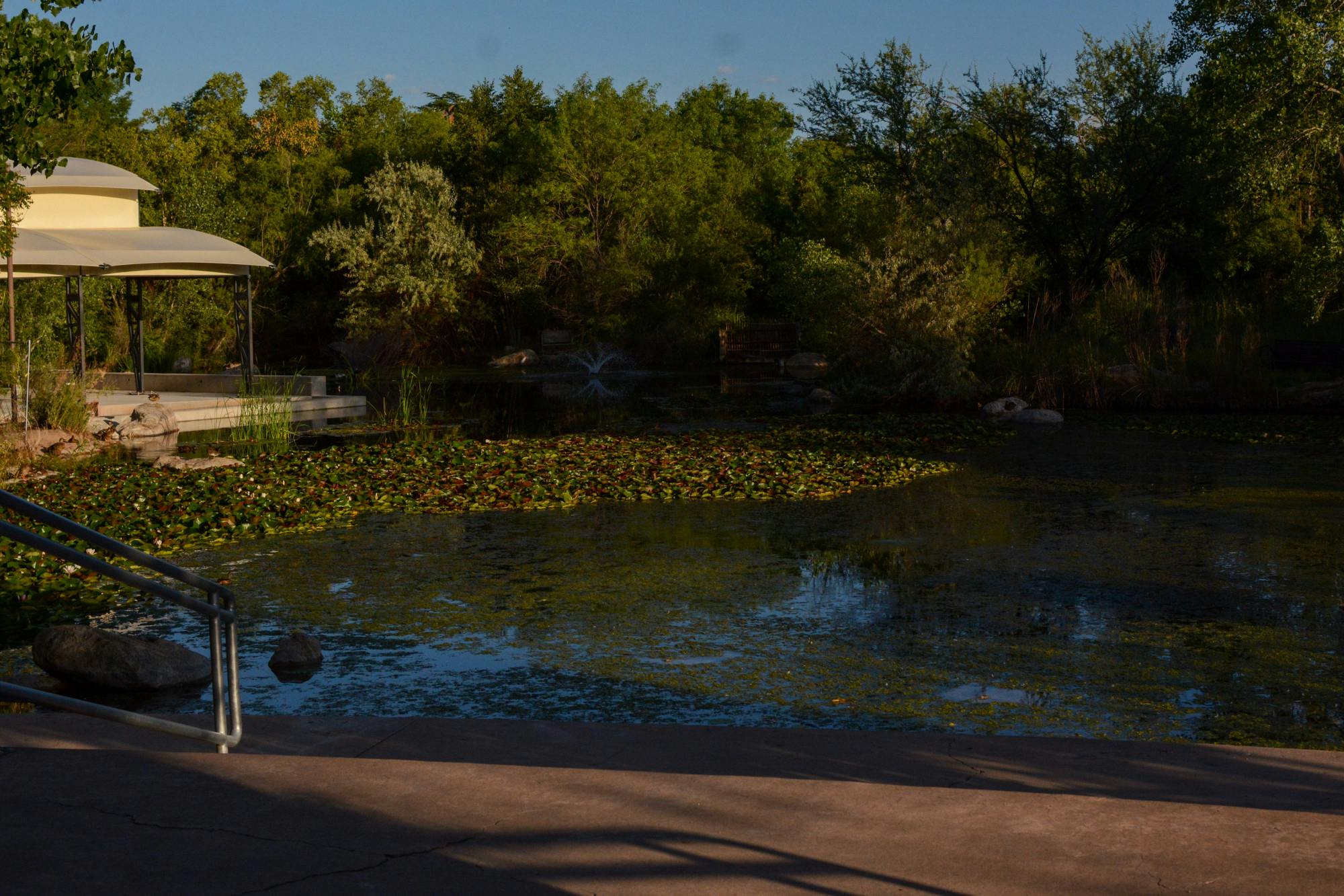 PHOTO STORY: Nighttime at the Albuquerque BioPark Botanic Garden
