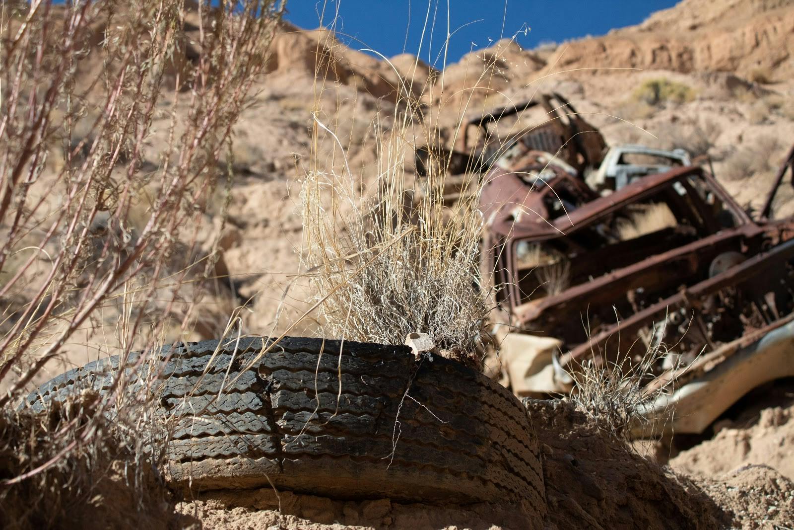 Dead Cars on the Mesa