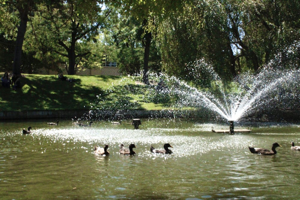 Duck Pond.jpg