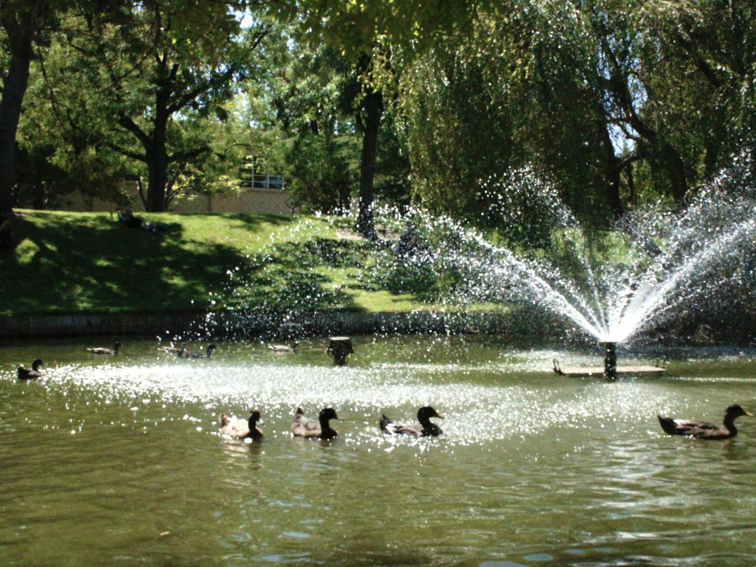 Duck Pond.jpg
