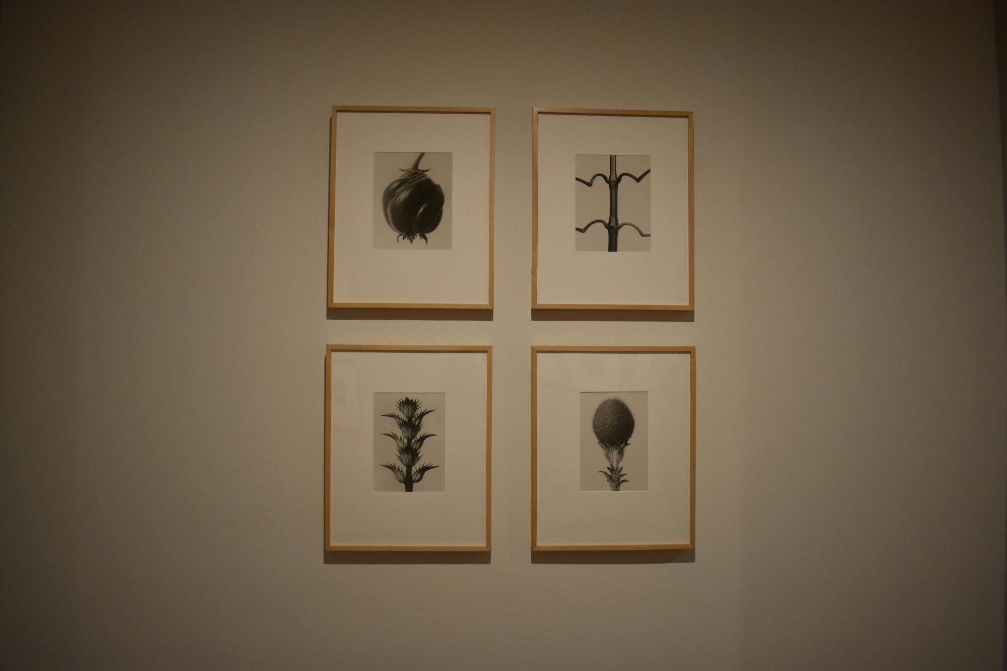 Hindsight Insight 3.0